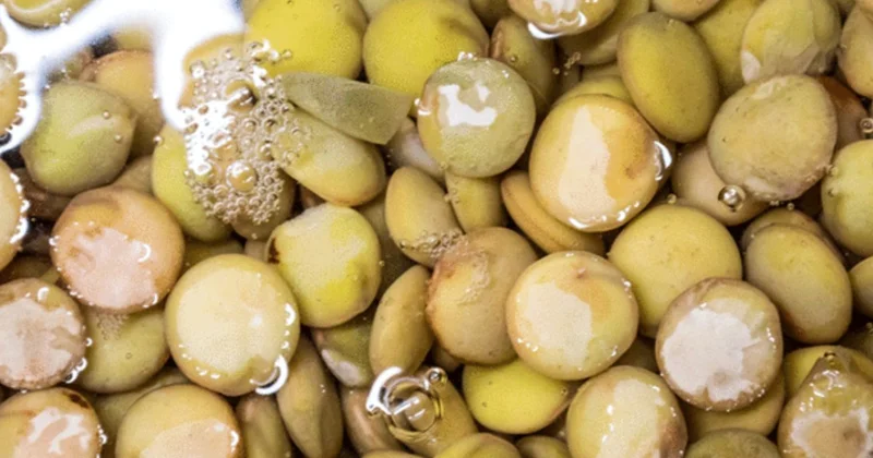 Yumurtadan 10 kat fazla protein, etten 25 kat fazla demir içeriyor Sözcü Gazetesi