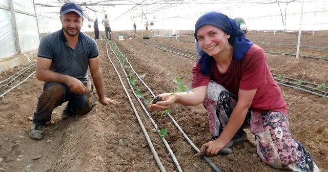 52 bin dönüm serada güz dönemi üretimi domates ekimiyle başladı Antalya Haberleri