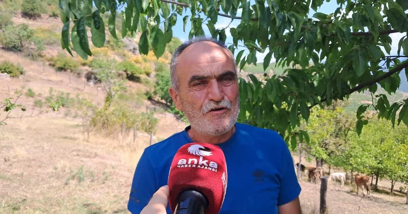 Ardanuçlu besici Bozkurt: Hayvancılığı bırakma noktasına geldik Sözcü Gazetesi