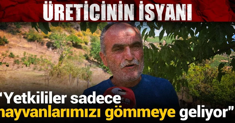 Şap hastalığıyla tek başına kalan üreticinin isyanı: Yetkililer sadece hayvanlarımızı gömmeye geliyor