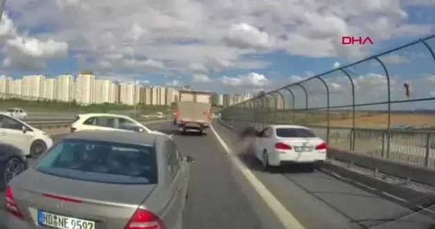 Kediyi kurtatmaya çalışan kadın az kalsın canında oluyordu