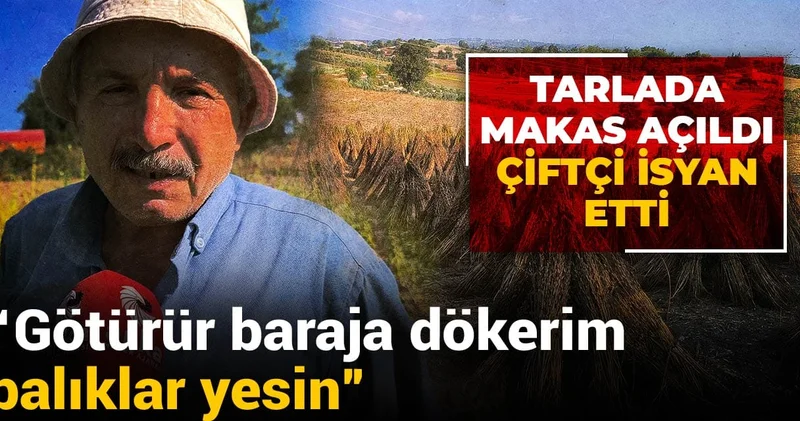 Tarlada makas açıldı çiftçi isyan etti! Götürür baraja dökerim balıklar yesin