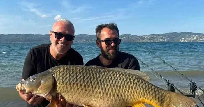 Sapanca Gölü’nde 18 kiloluk dev sazan: O anlar kamerada