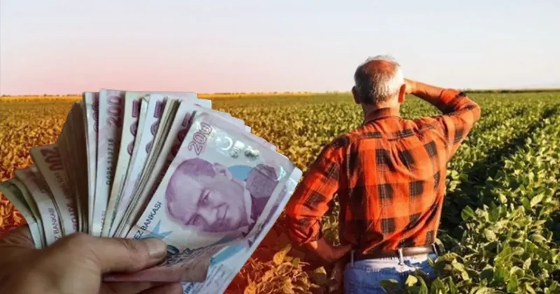 Çiftçilere zirai don desteği! Rakamlar ve şartlar belli oldu: Resmi Gazete de yayımlandı