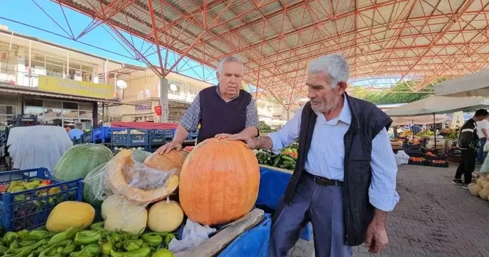 Darende’nin meşhur bal kabağı üreticinin yüzünü güldürüyor