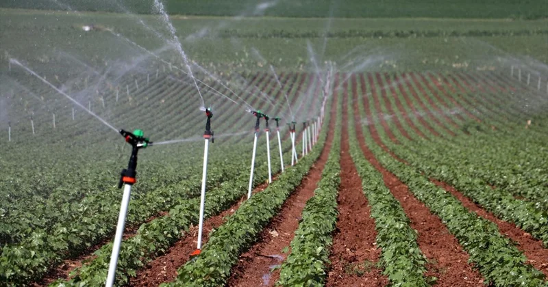 Bitkisel üretimde yeni desteklemelerin detayları belli oldu