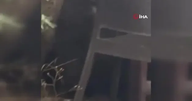 Kızılcahamam’da ayı lokantaya girdi, masaya oturdu!