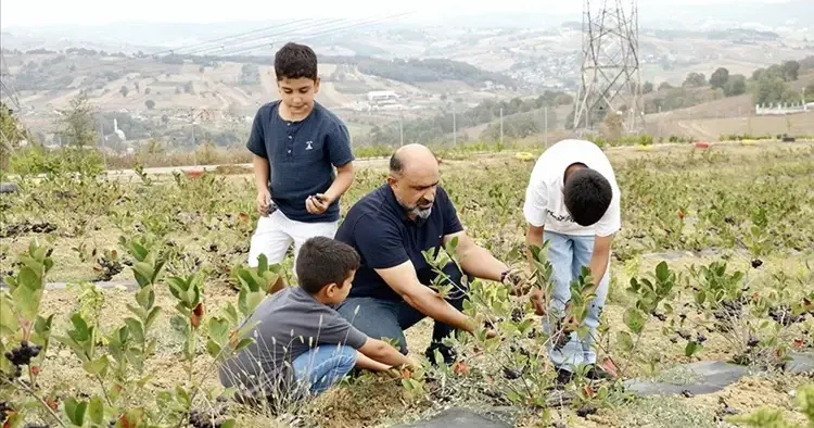 Hastalığına şifa aradı, hayatının işini buldu! Daha dalındayken sattı