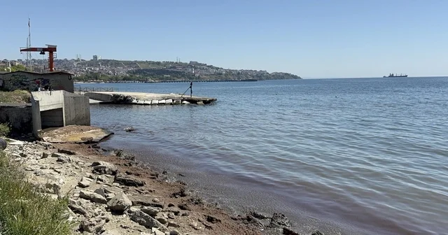 Tekirdağ da kuvvetli rüzgar sonrası sahil kırmızı yosunlarla kaplandı Tekirdağ Haberleri