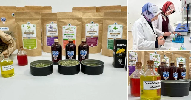 Tıbbi ve aromatik bitkiler işlenerek katma değeri yüksek ürünler elde edilecek Aktüel Haberleri