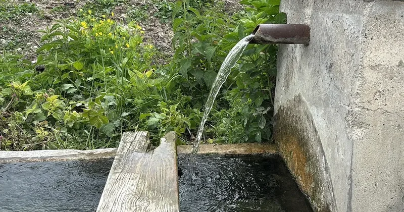 Bolu da Su Kaynağına Bağlı Hastalanma Olayı