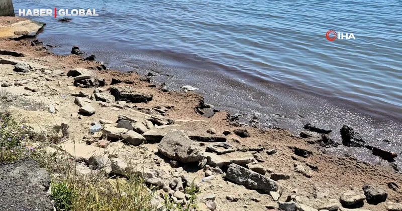 Marmara Denizi nin Tekirdağ kıyılarında kızıl yosun birikintisi oluştu