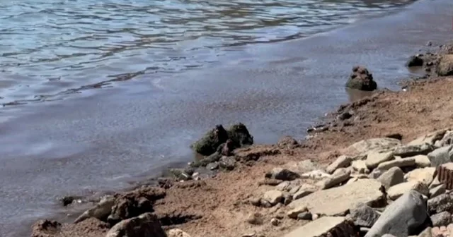 Tekirdağ’da tedirgin eden görüntü: Rüzgar sonrası tüm sahil şeridini kapladı VİDEO İZLE