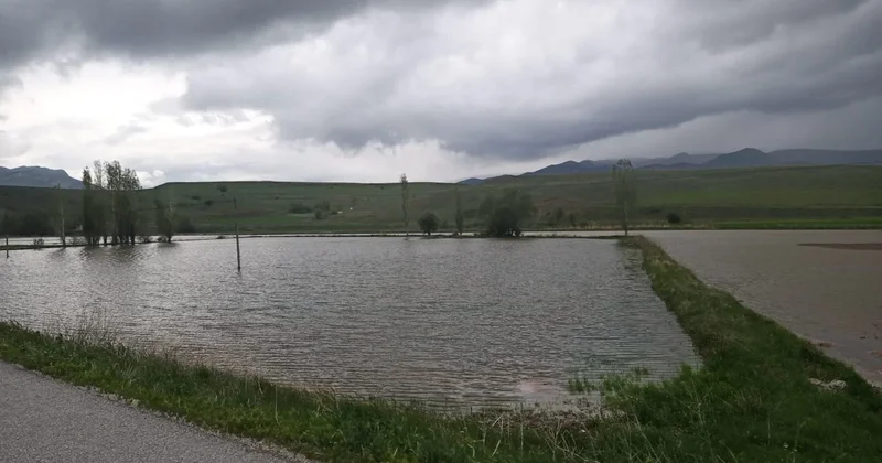 Erzincan da tarım arazilerini sağanak vurdu Sözcü Gazetesi