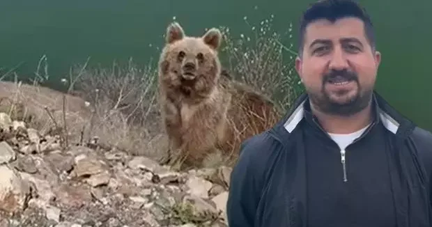 Sivas haberleri Yer: Sivas! Ayıya yem olmaktan son anda kurtuldu 15 Mayıs 2025