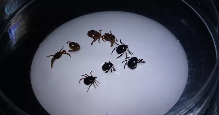 Yer: Sivas! 8 kişiye birden teşhis konuldu,1 kişi hayatını kaybetti... O illerde riskte!