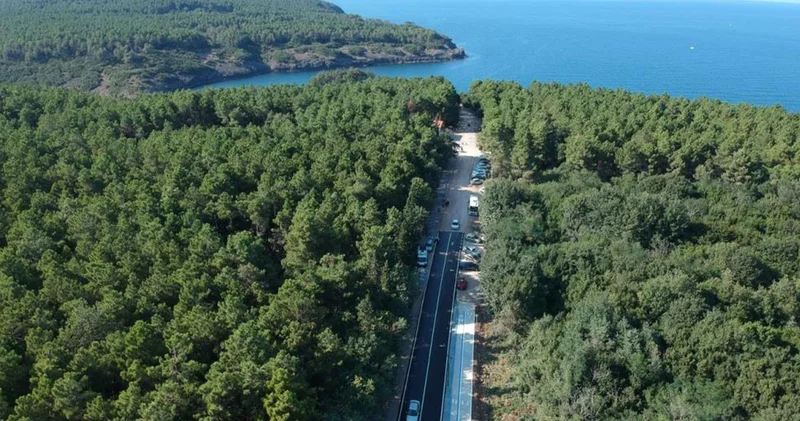 Yangınlarla mücadele! Bir ilde daha ormanlara giriş yasaklandı
