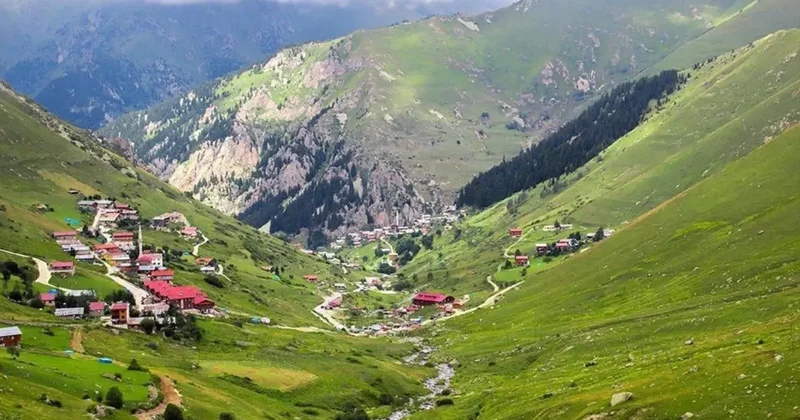 Trabzon da yaylaya çıkan 75 kişi kayboldu