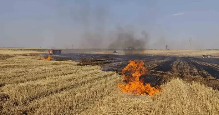 Mardin’de çıkan anız ve orman yangınları söndürüldü