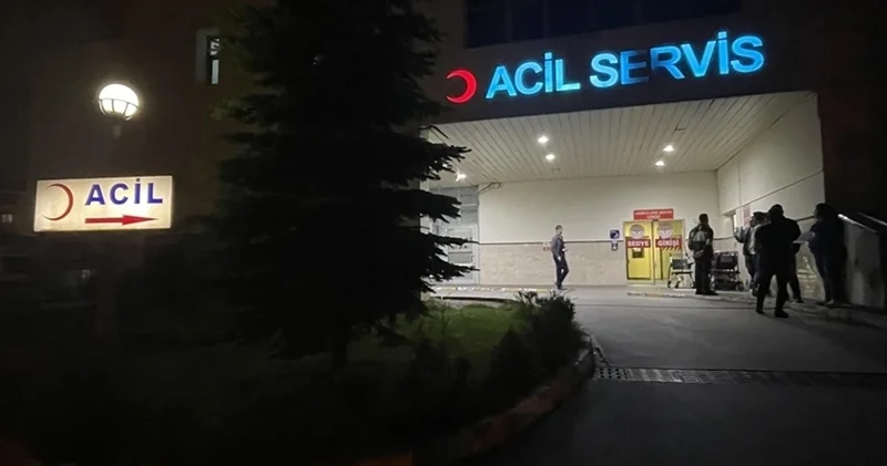 Ardahan da ayı saldırısına uğrayan genç hayatını kaybetti