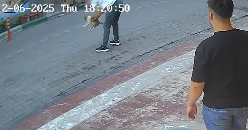 Boğulan kediyi Heimlich manevrasıyla kurtardı