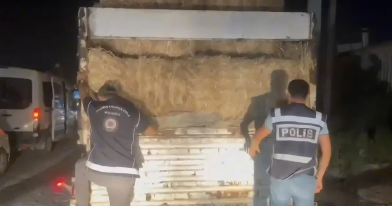 Hatay da TIR dorsesinde 31 kaçak göçmen yakalandı