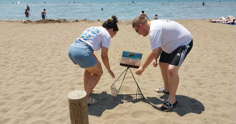 İztuzu Plajı ndaki caretta caretta yuvalarının sayısı 300 e ulaştı