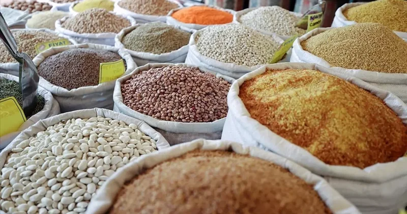 Güneydoğu dan 5 ayda 1,5 milyar dolarlık hububat ihracatı gerçekleştirildi