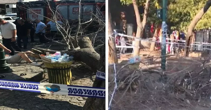 İstanbul da rüzgarın devirdiği ağaç 3 kişiyi yaraladı