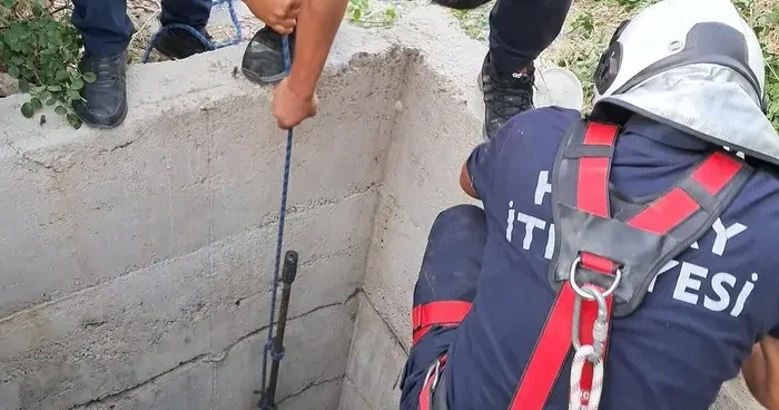 Antakya’da 10 metrelik kuyuya düşen köpeği itfaiye kurtardı