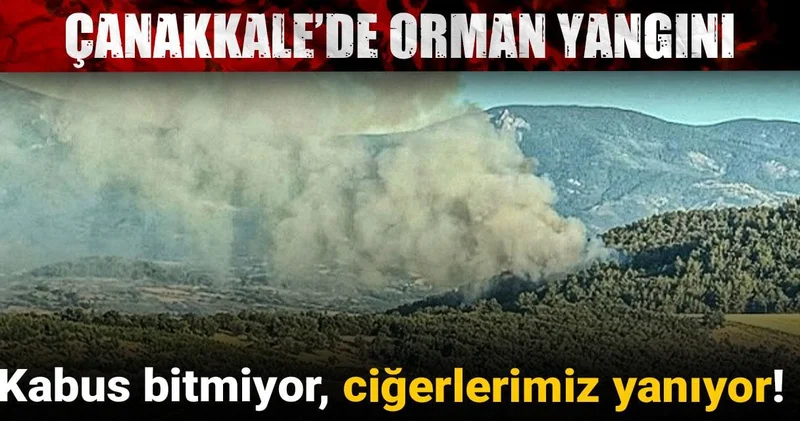 Kabus bitmiyor, ciğerlerimiz yanıyor! Çanakkale’de orman yangını