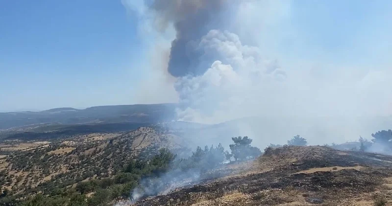 Çanakkale ve Tekirdağ da orman yangınları
