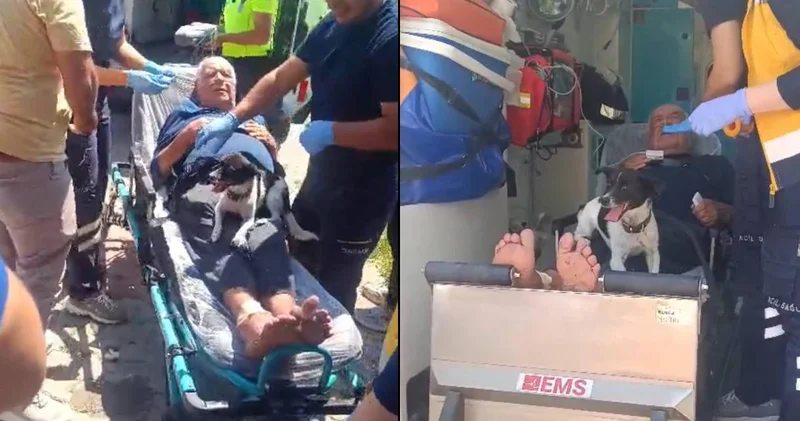 Köpeğin vefası duygulandırdı: Bir an olsun yanından ayrılmadı