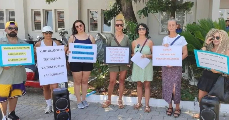 Barınak kapatıldı, zabıta protesto edildi
