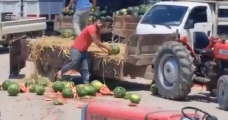 Karpuzları Parçalayan Çiftçilere İşlem