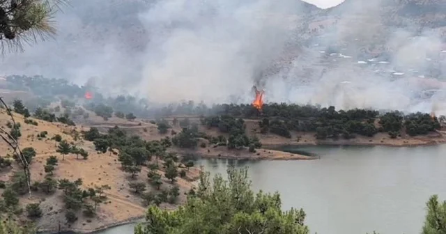 Adıyaman da orman yangını: Ekipler ve köylüler seferber olduv Gündem Haberleri