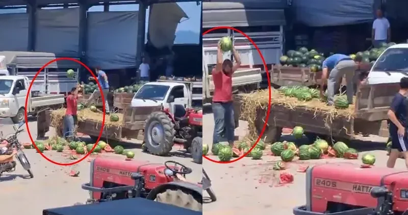 Karpuzları yere atıp, parçalayan üreticiler hakkında işlem başlatıldı