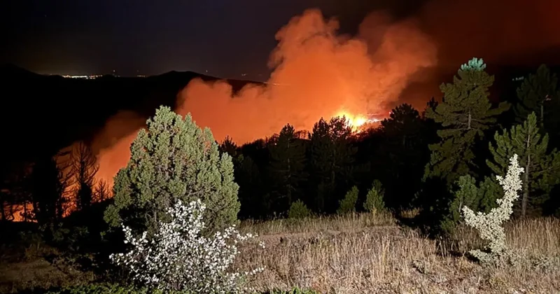 Konya’da 2 gündür devam eden orman yangınları ile ilgili şok iddia: Alevler bakın nasıl yayılmış