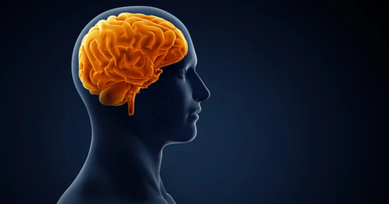 B12 vitamini eksikliği sinir hücrelerine kalıcı hasar verebilir Haberler Sağlık Haberleri
