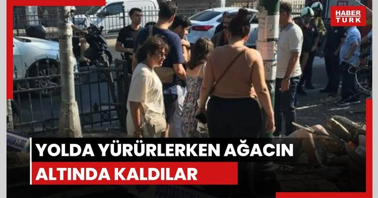 3 kişi ağacın altında kaldı