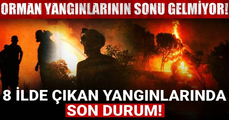 Orman yangınlarının sonu gelmiyor: 8 ilde çıkan yangınlarında son durum