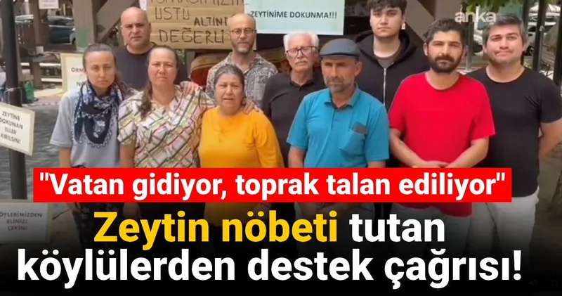 Zeytin nöbeti tutan köylülerden destek çağrısı: Vatan gidiyor, toprak talan ediliyor