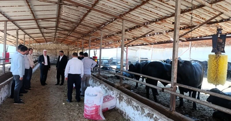 Kaçakçılığın bedeli! Ölümcül ve tehlikeli