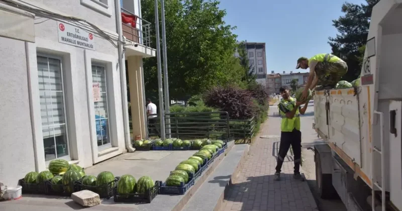 Fiyatlara kızdılar 50 ton bedava karpuz dağıttılar