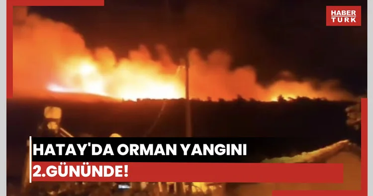 Hatay da orman yangını ikinci gününde