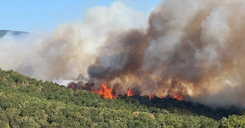 Kocaeli de orman yangını yerleşim yerlerine yaklaştı: Akçat köyü boşaltılıyor!
