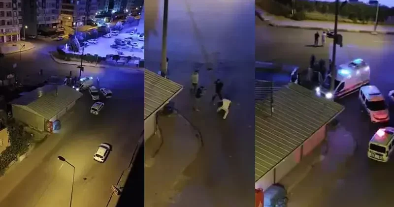 Siirt’te iki grup arasında kavga kamerada