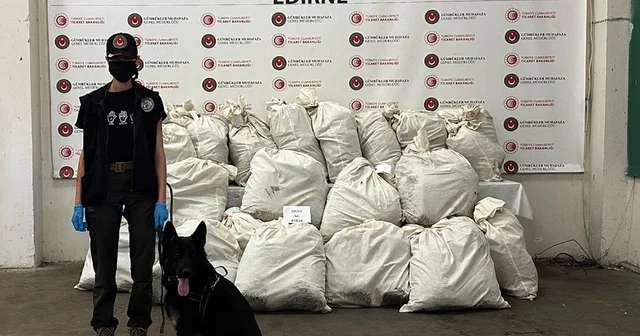 Kapıkule de 245 kilo esrarı Füge buldu Edirne Haberleri