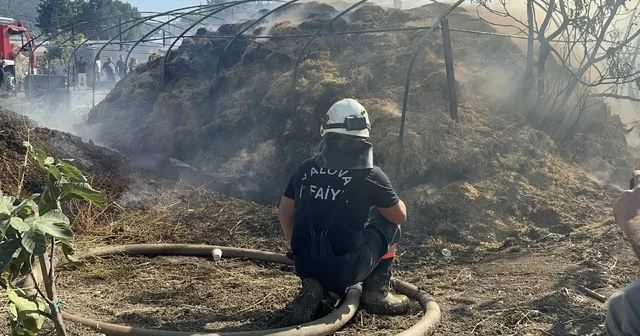 Yalova da 3 farklı noktada çıkan yangın söndürüldü Yalova Haberleri