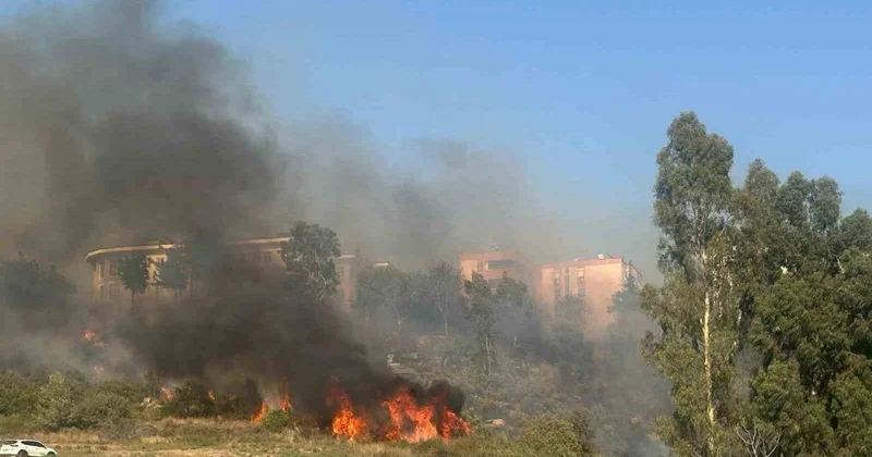 Sinop taki yangın köylülerin müdahalesiyle kontrol altına alındı